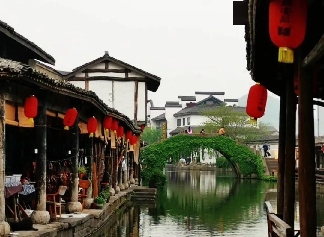 净身出户也要和闫妮离婚的邹伟,如今他后悔了吗?